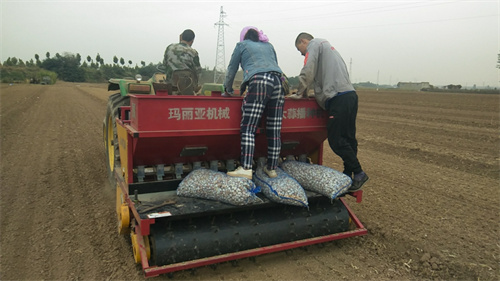 蜜柚app污无限制观看版下载种植