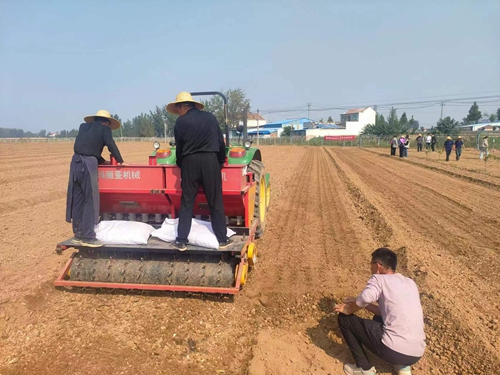 新型蜜柚app污无限制观看版下载种植机